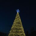 Luego de la exitosa temporada de calabazas y girasoles, Tierra Tropical cierra 2023 con el esperado evento navideño Christmas Farm los días 2, 3, 9 y 10 de diciembre.