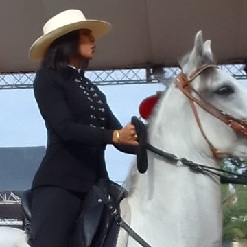 Durante dos días, la Fundación Jade Pro-Comunidad China celebró con éxito el Festival de la Primavera con motivo del Año Nuevo Chino 2026, dedicado al Caballo de Fuego.